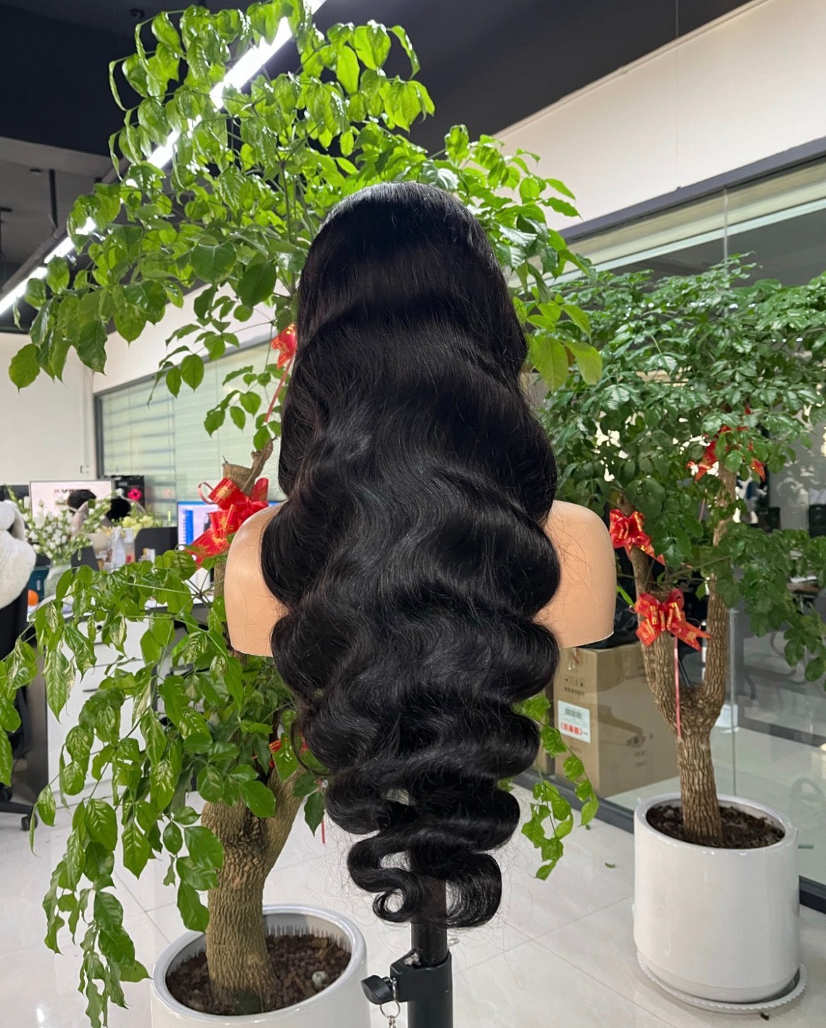 HD Lace Front Wig 250% Density 13x6